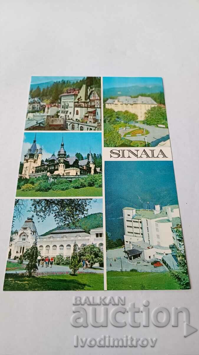 Carte poștală Sinaia Collage