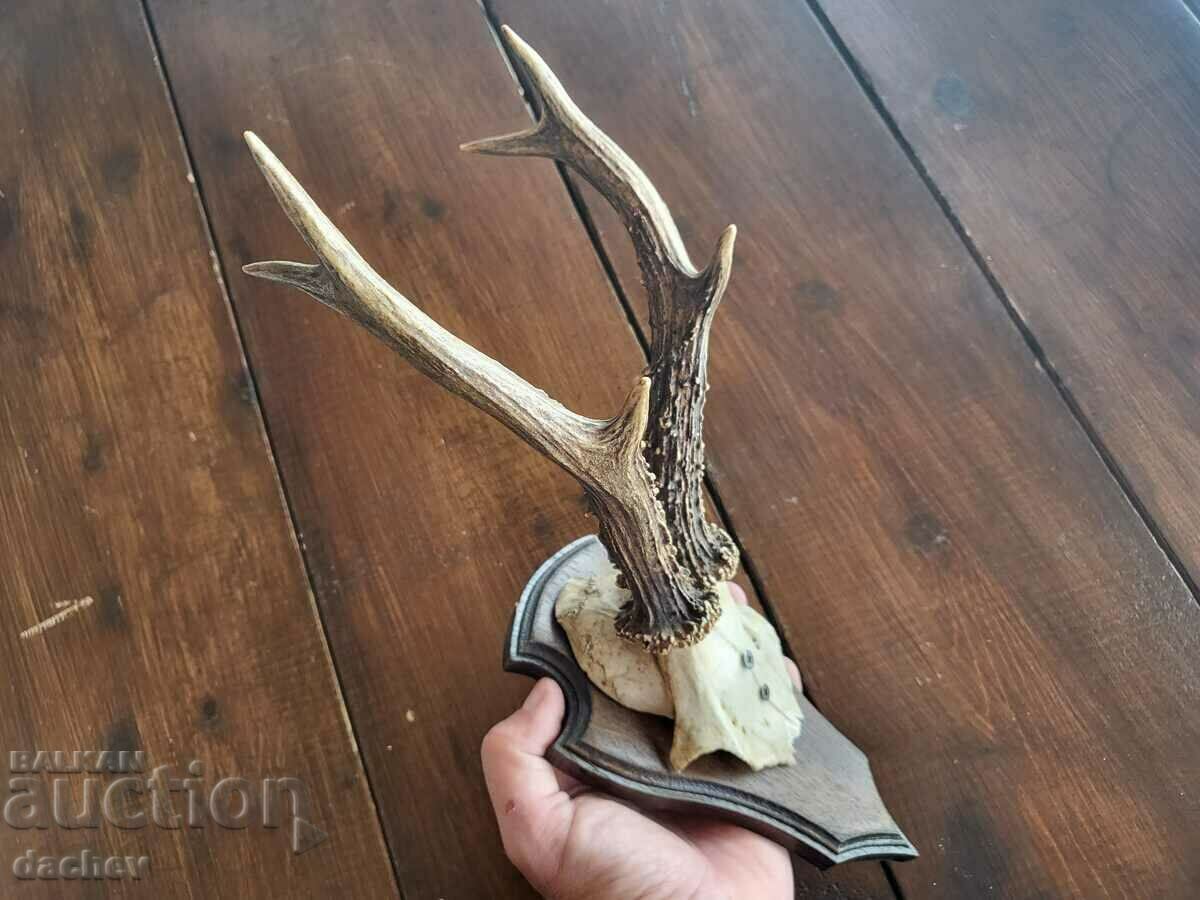 Delivery of OLD HORNS TROPHY ROOF TAVERN WOOD CARVING Tavern Delivery of OLD HORNS TROPHY ROOF TAVERN WOOD CARVING Tavern