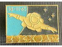 34660 Πρόγραμμα διαστημικών πινακίδων ΕΣΣΔ Ascension 2 1965.