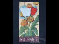 Broșura socială Bulgaria din anii 50