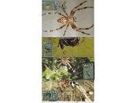 Carduri maxim 2005 Păianjeni Nr. 4695 - 98 4 buc.