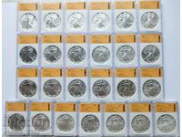 Silver 1 OZ American Eagle 25 pcs