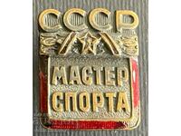 34679 USSR badge Master of Sports USSR enamel screw 50s.