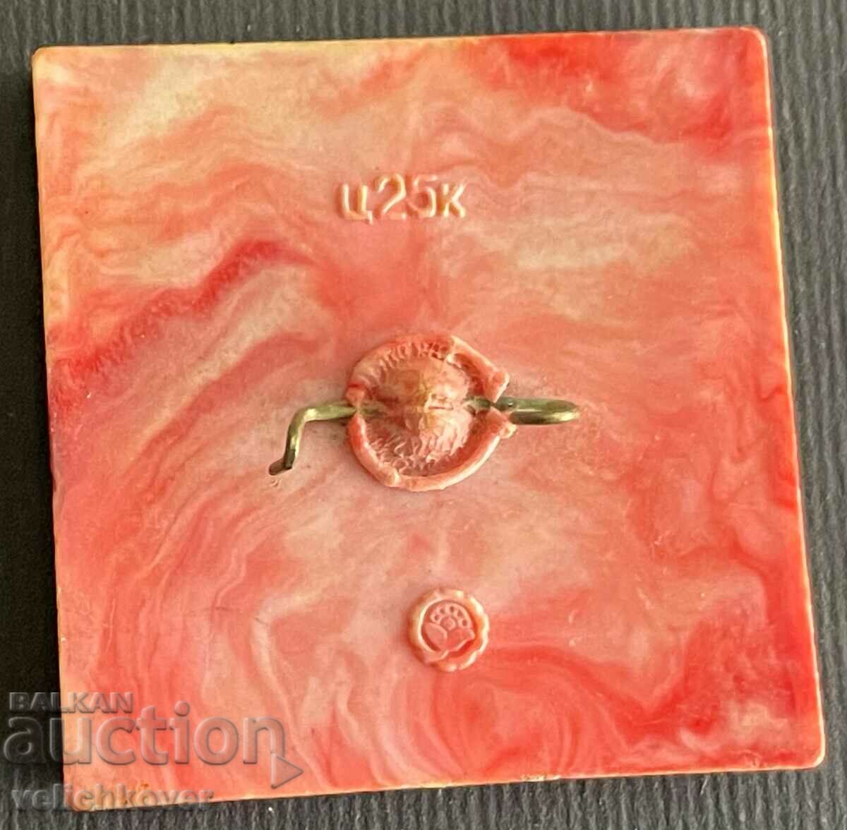 Auction  34688 USSR sign 3D stereo cartoon character Nu Pagadi