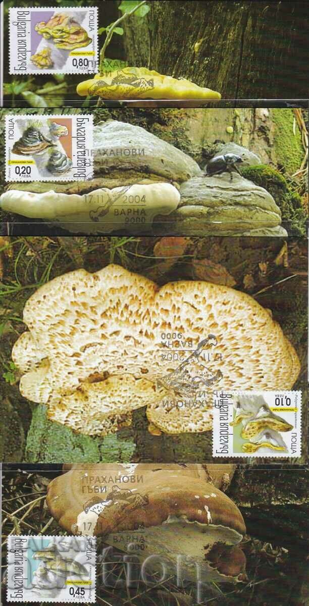 Cards maximum 2004 Powder mushrooms 4 pcs. No. 4663 - 4666