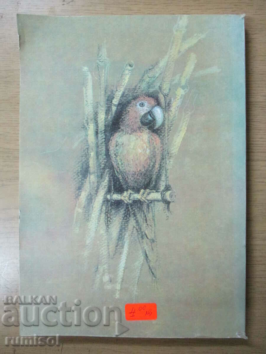 Auction The Life and Adventures of Robinson Crusoe - Daniel Defoe Auction The Life and Adventures of Robinson Crusoe - Daniel Defoe