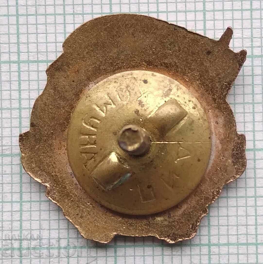 Auction 12920 Military badge - OAS participation in MNO 1953 - enamel screw Auction 12920 Military badge - OAS participation in MNO 1953 - enamel screw