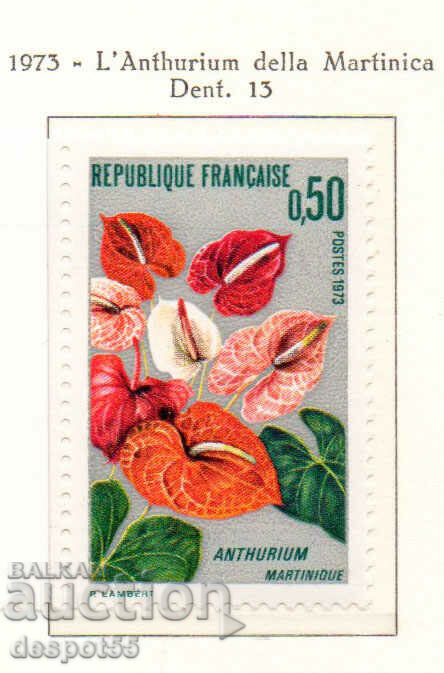 1973. France. Growing flowers from Martinique.
