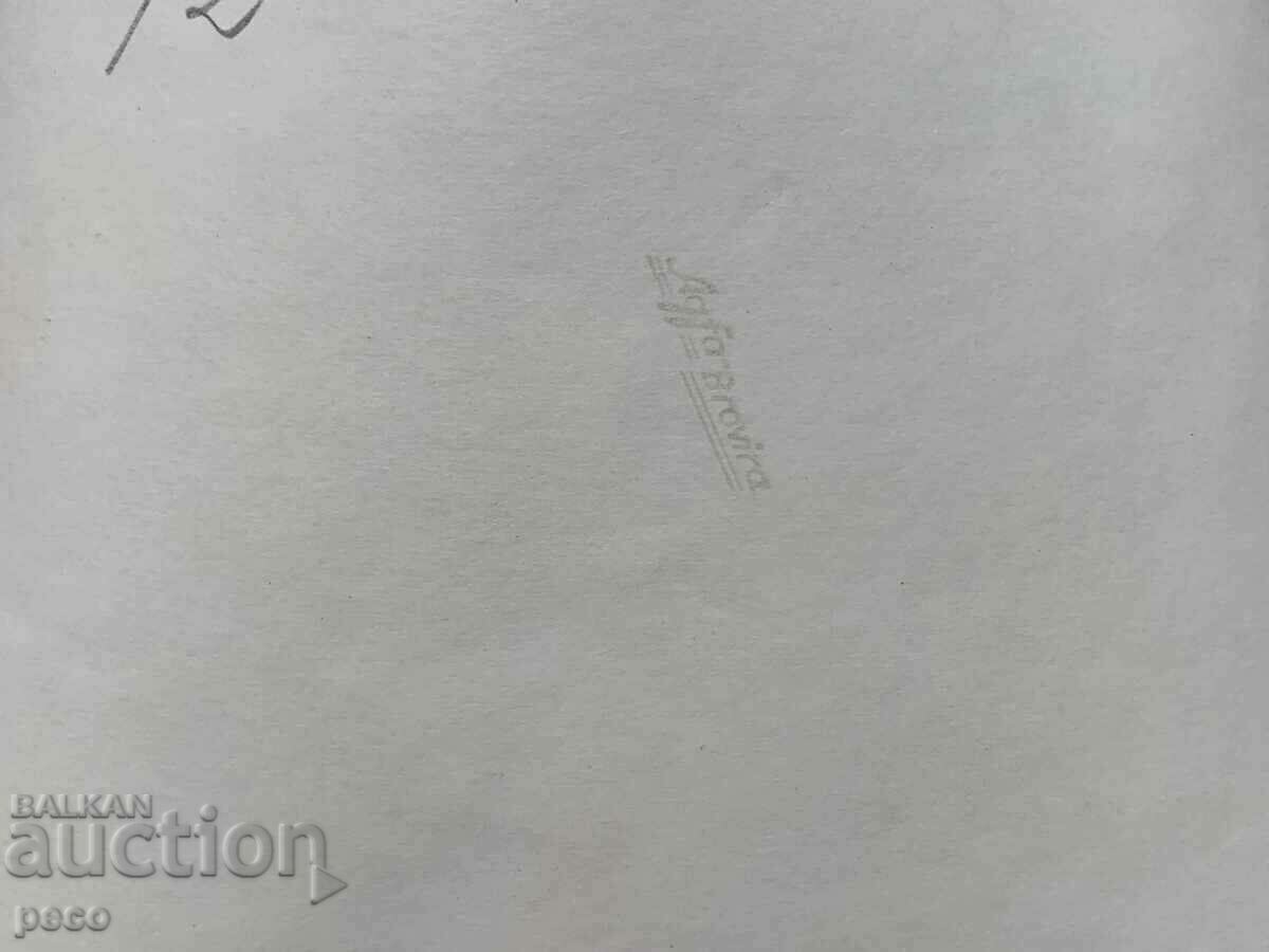 The funeral of Tsar Boris III Members of delegations - 6