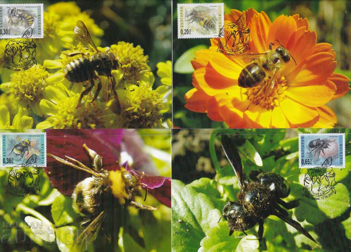 Κάρτες μέγιστο 2003 Μέλισσες 1ου τύπου Νο 4591 - 944 τεμ.