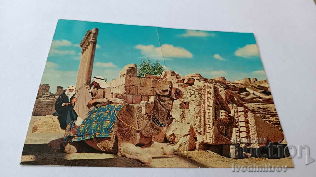 П К Lebanon Baalbeck Jupiter Temple and Camel-Drivers