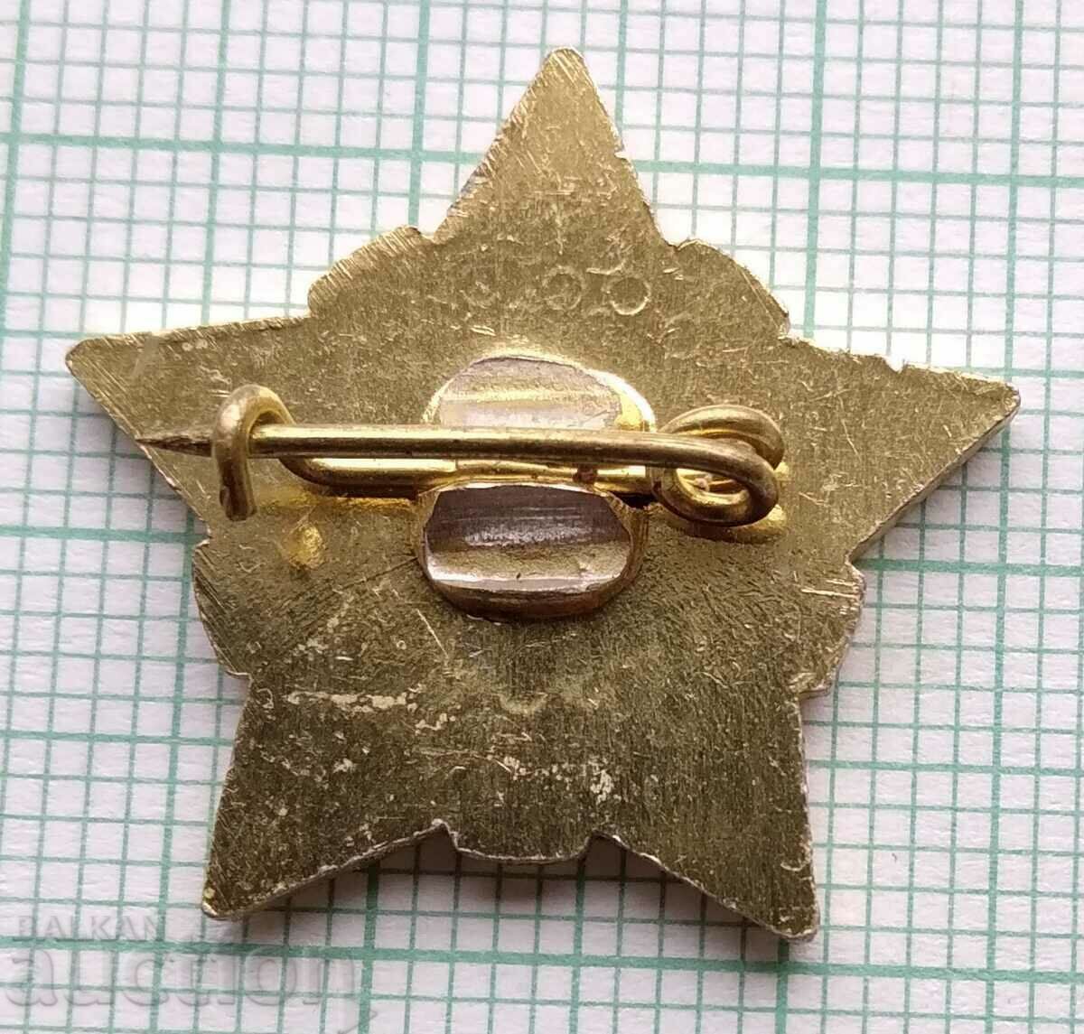 12971 Badge - BPS Bulgarian Professional Union with price 1.00 BGN | € 0.51 12971 Badge - BPS Bulgarian Professional Union with price 1.00 BGN | € 0.51