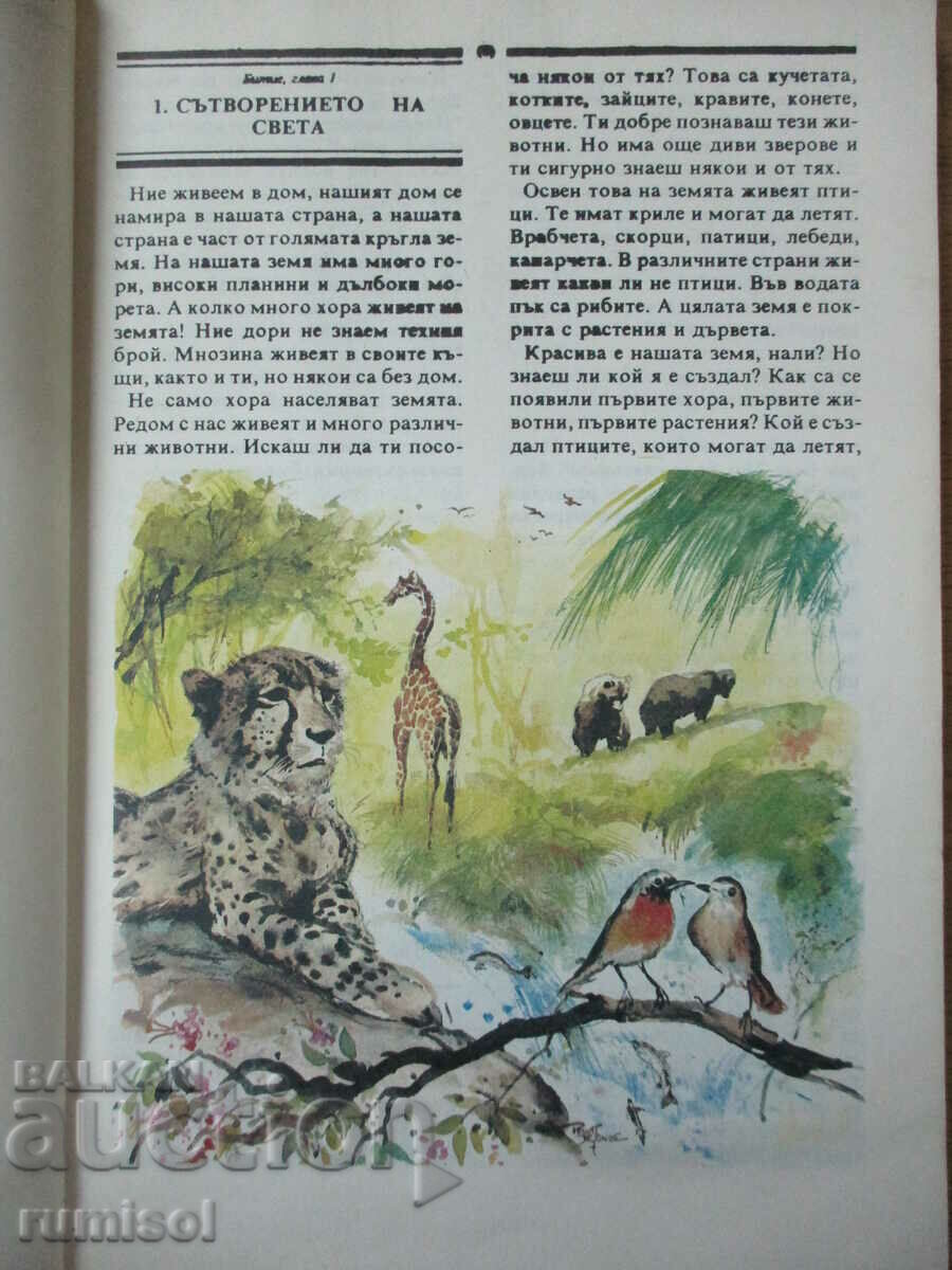 Δημοπρασία Βίβλος για Παιδιά Δημοπρασία Βίβλος για Παιδιά