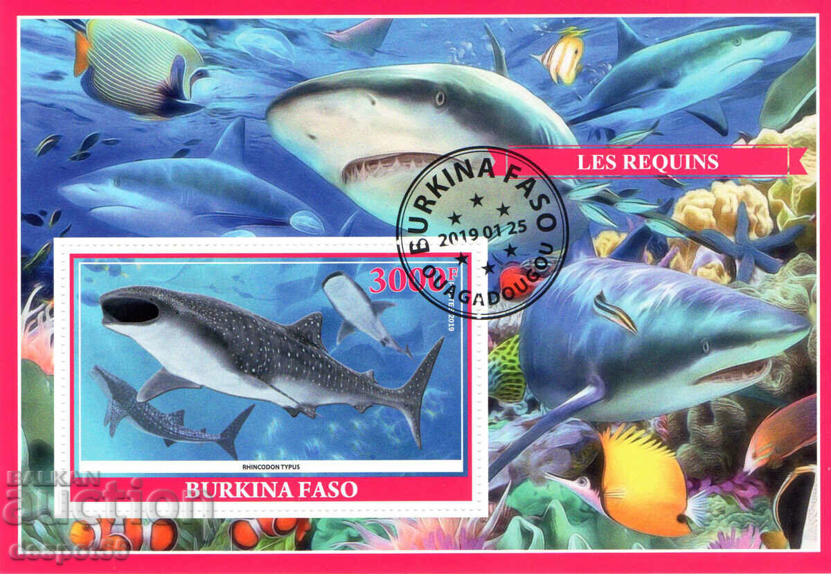 2019. Μπουρκίνα Φάσο. Πανίδα – Καρχαρίες. Παράνομα γραμματόσημα. ΟΙΚΟΔΟΜΙΚΟ ΤΕΤΡΑΓΩΝΟ.