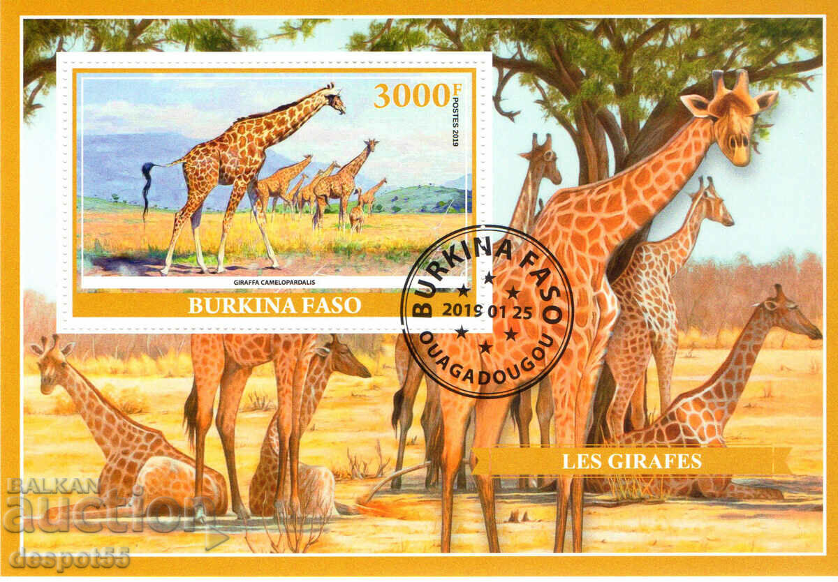 2019. Burkina Faso. Fauna - Girafele. Timbre ilegale. Bloc.