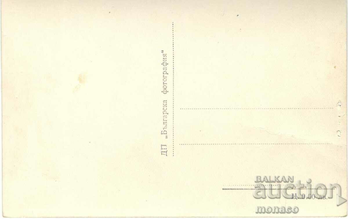 Old postcard - flight. V. Kolarov, View with price 2.20 BGN | € 1.12