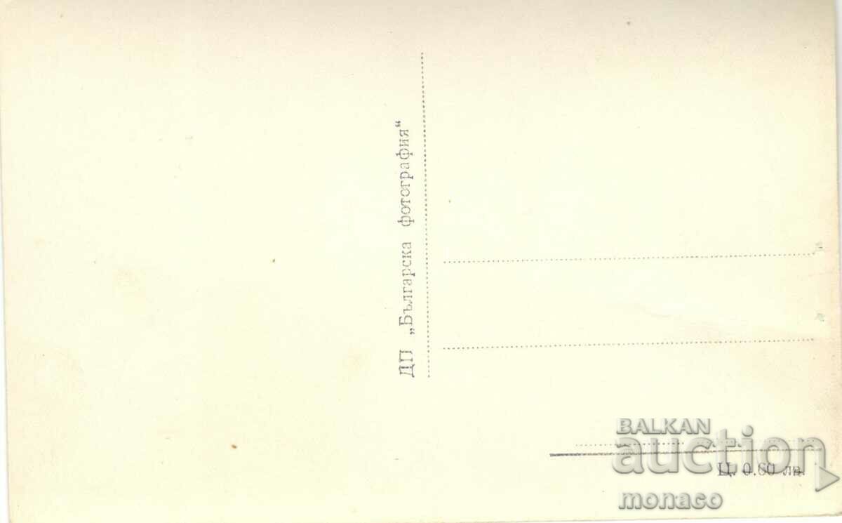 Old postcard - flight. V. Kolarov, View with price 2.40 BGN | € 1.23