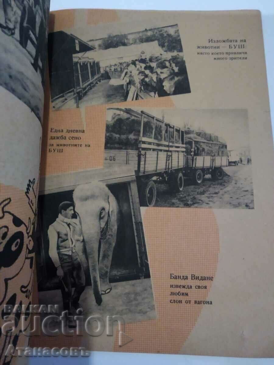 Circus Bush in Bulgaria 1960 - 6