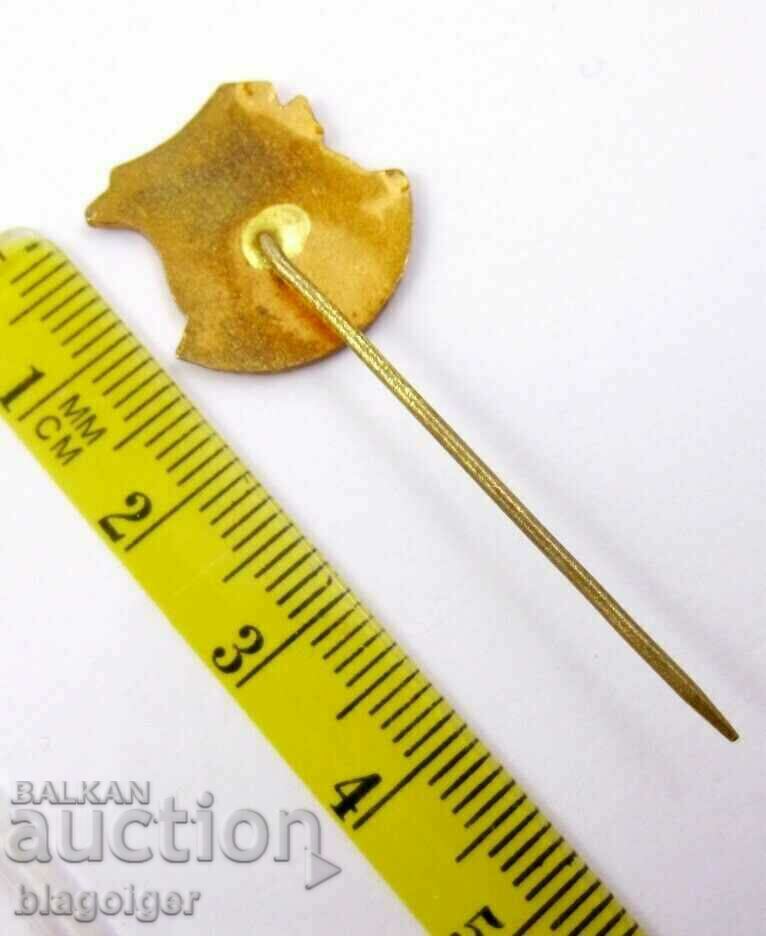 Delivery of Soccer Badge - Rare Soccer Badge - SANTOS Brazil - Enamel Delivery of Soccer Badge - Rare Soccer Badge - SANTOS Brazil - Enamel