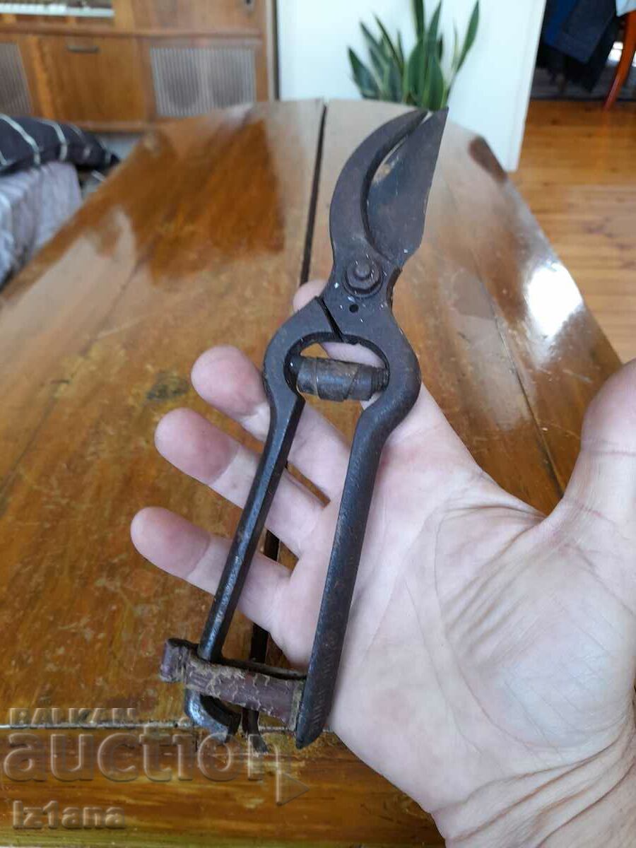 Stara Lozarska, ovoshtarska Nozhitsa, Nozhitsi with price 25.00 BGN | € 12.78