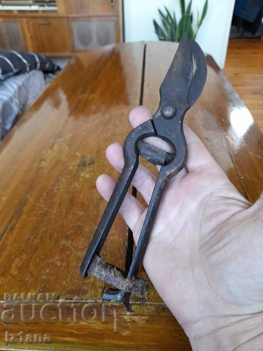 Auction  Stara Lozarska, ovoshtarska Nozhitsa, Nozhitsi