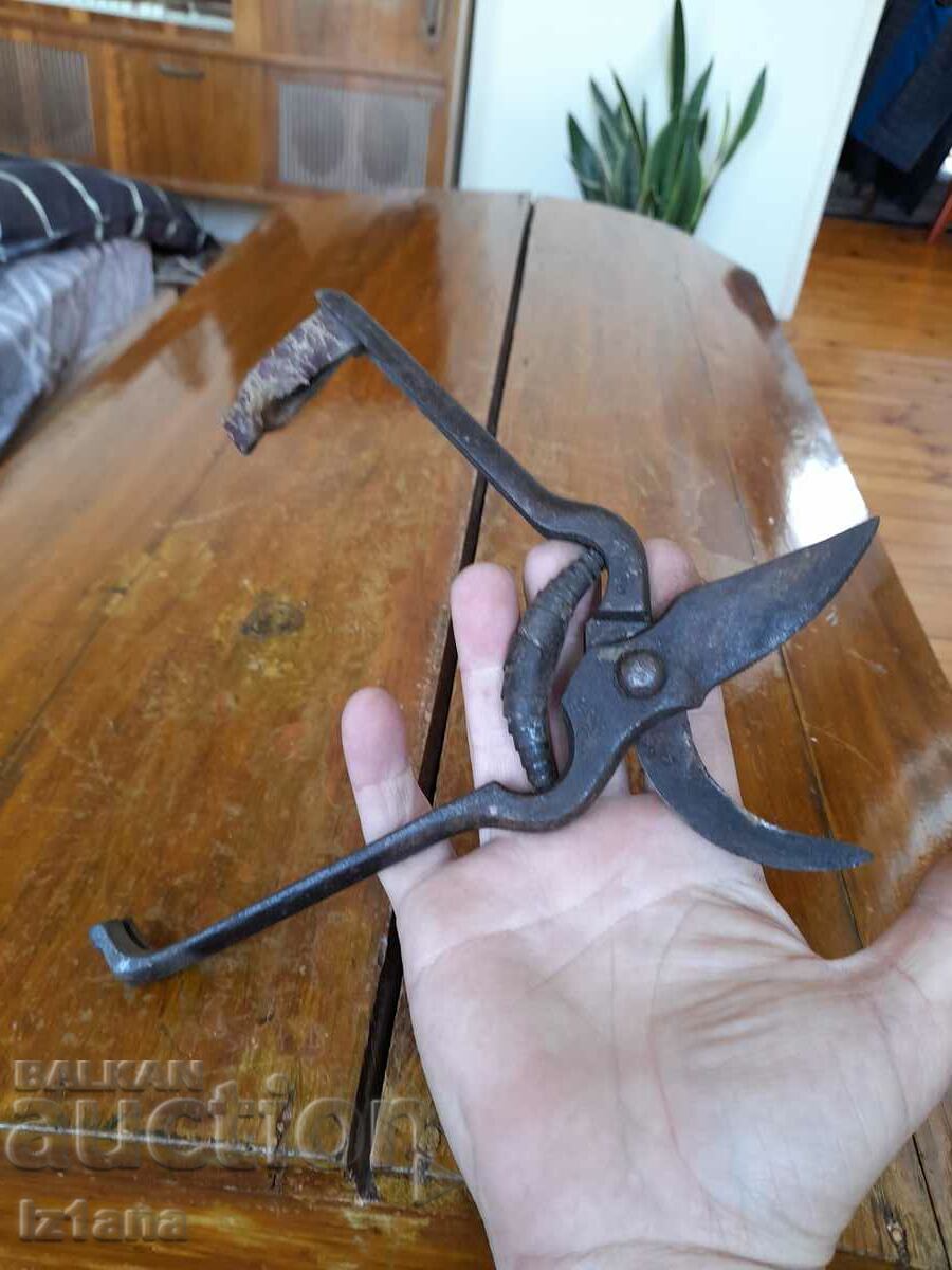 Delivery of Stara Lozarska, ovoshtarska Nozhitsa, Nozhitsi