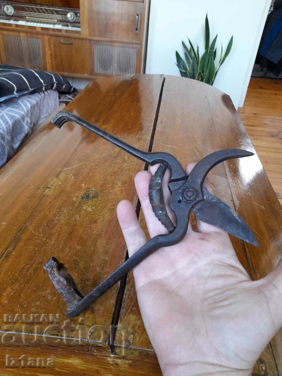 Stara Lozarska, ovoshtarska Nozhitsa, Nozhitsi - 5