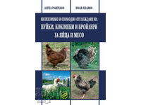 Intensive and free breeding of turkeys, chickens and ...