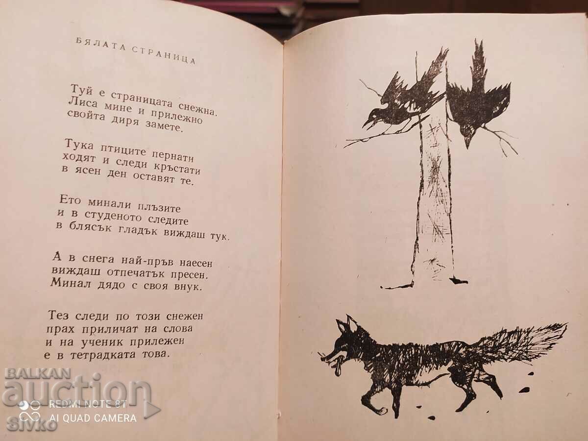 Kitna Rodina, Hristo Radevski, many illustrations - K - 7 Kitna Rodina, Hristo Radevski, many illustrations - K - 7