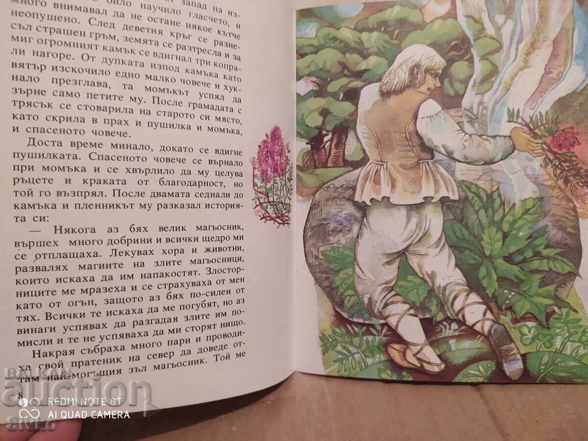 Licitație Înțeleptul consilier din buzunar, pr. R. Kreutzvall, ilustrații - K Licitație Înțeleptul consilier din buzunar, pr. R. Kreutzvall, ilustrații - K
