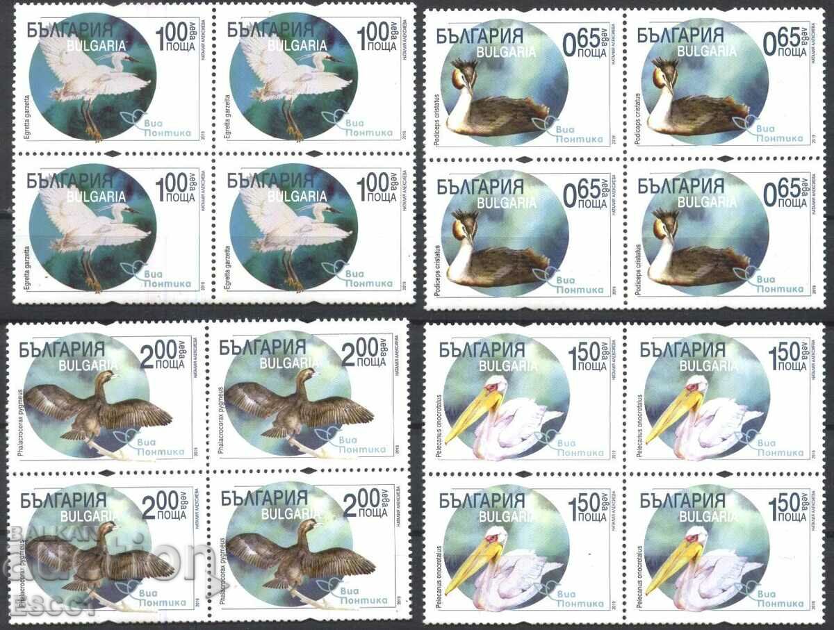 Чисти марки в каре Фауна Птици Виа Понтика 2019 България