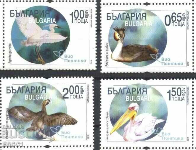 Pure stamps Fauna Birds Via Pontica 2019 Bulgaria