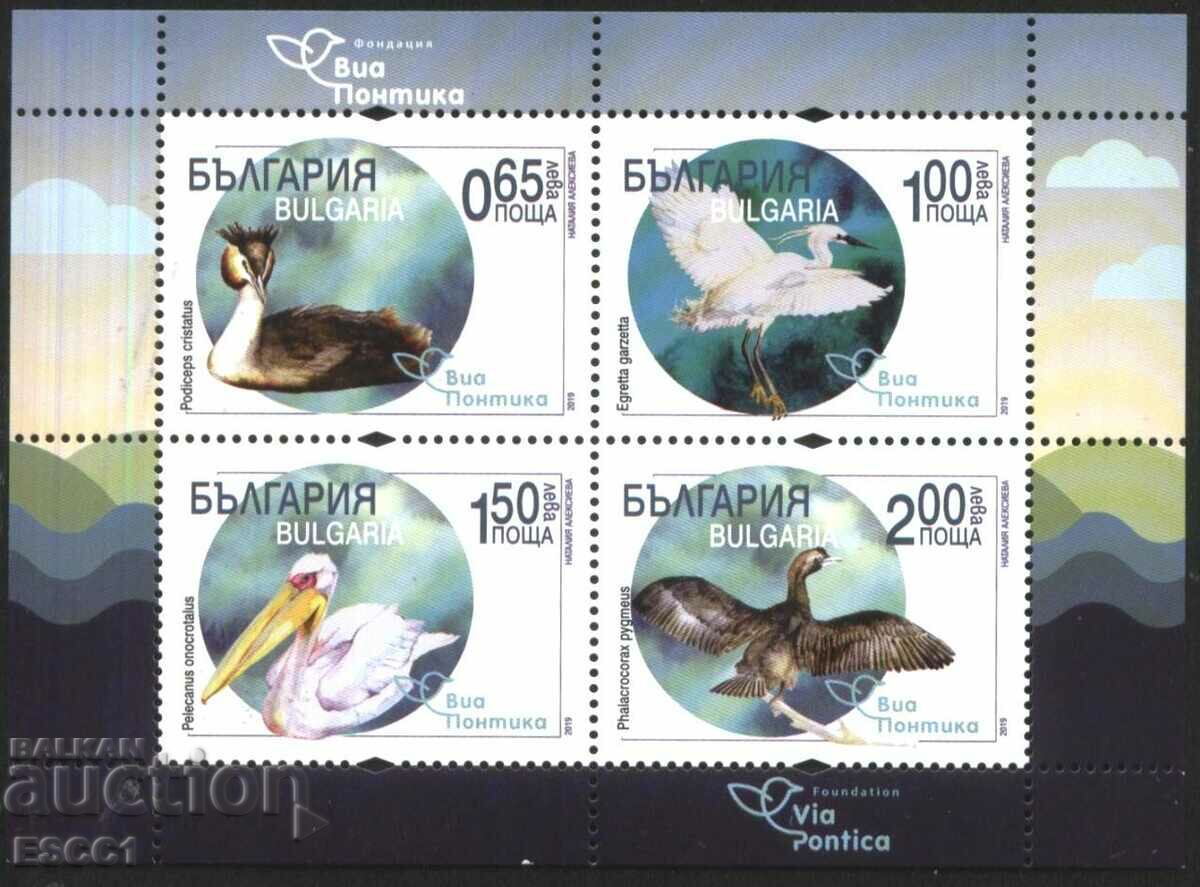 Чист блок Фауна Птици Виа Понтика 2019 България