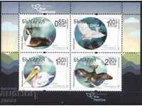 Clean Block Fauna Birds Via Pontica 2019 Bulgaria