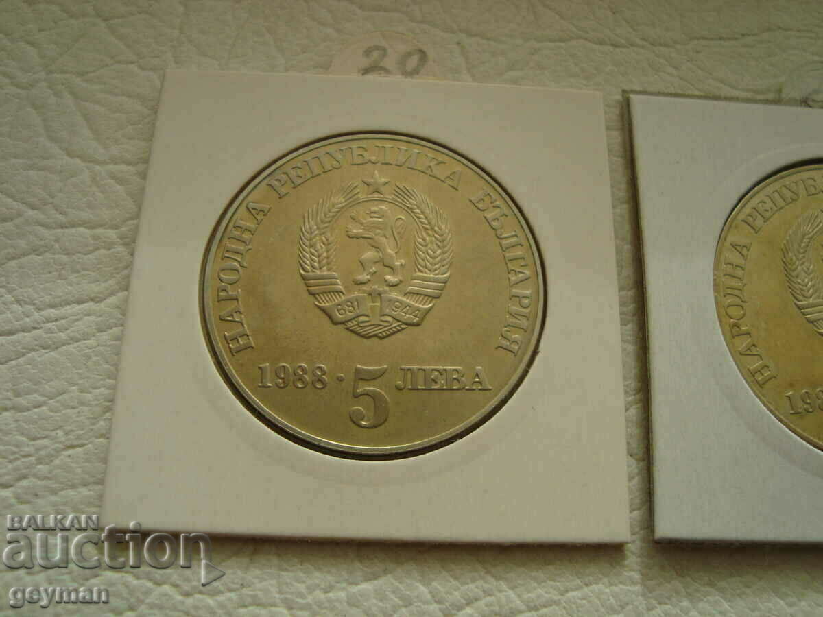 Lot BGN 5 "Chiprovsko" - The two options - 5