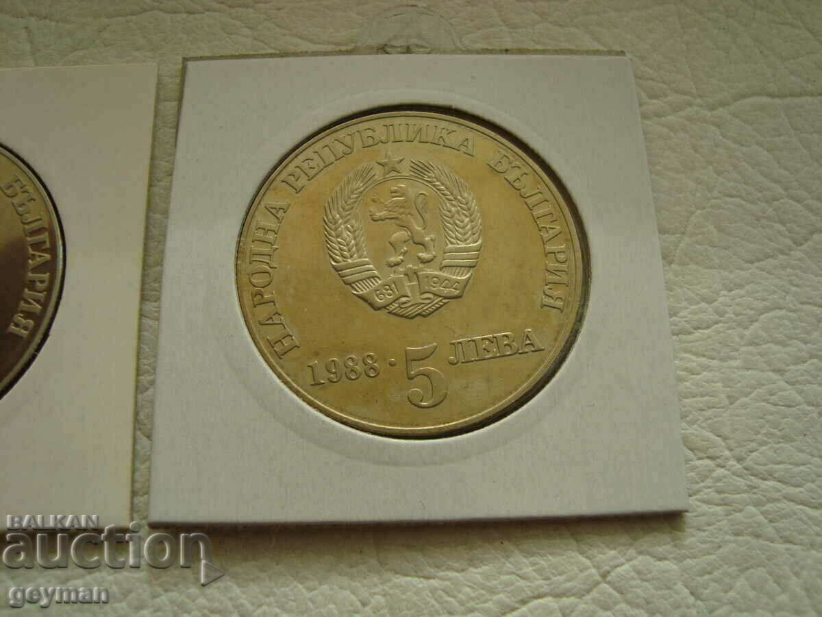 Lot BGN 5 "Chiprovsko" - The two options - 6