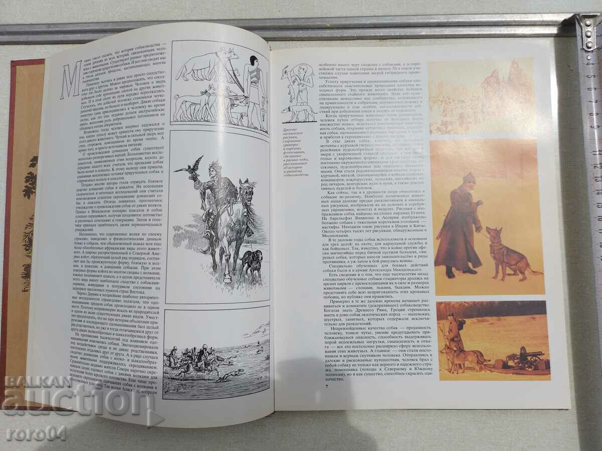 Auction  OUR FAITHFUL FRIENDS - ALBUM