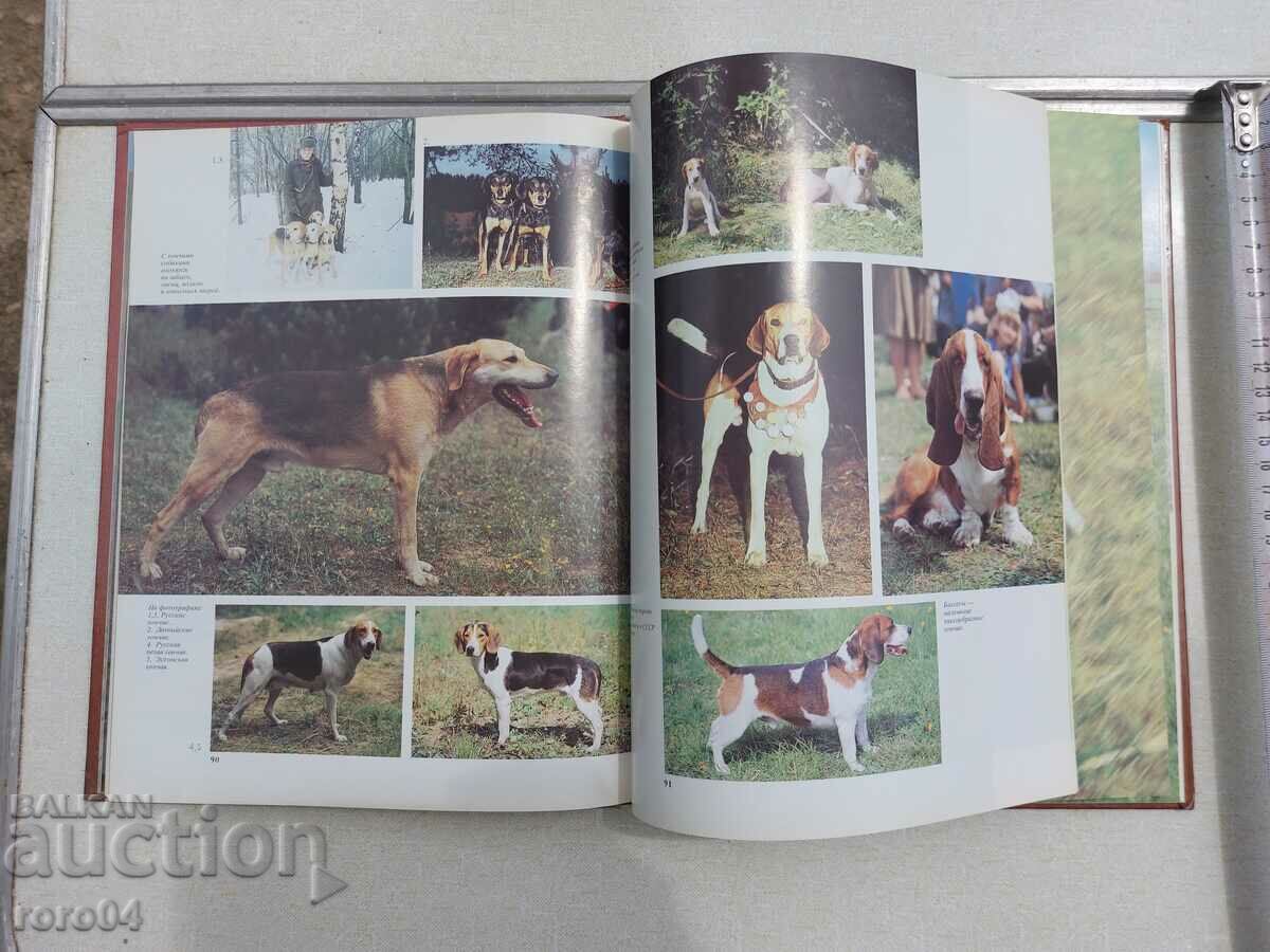 OUR FAITHFUL FRIENDS - ALBUM - 5