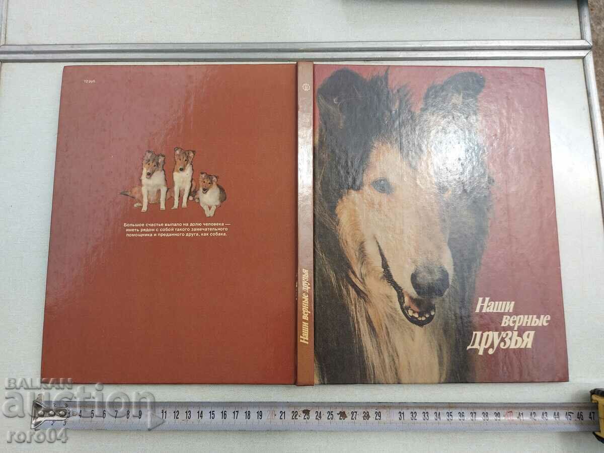 OUR FAITHFUL FRIENDS - ALBUM - 7