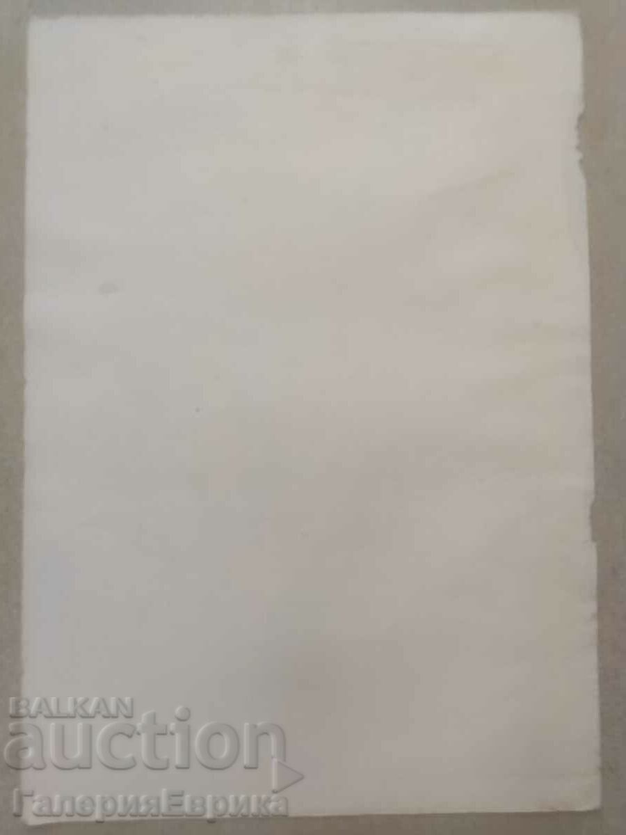 Delivery of Masterful drawing Delivery of Masterful drawing