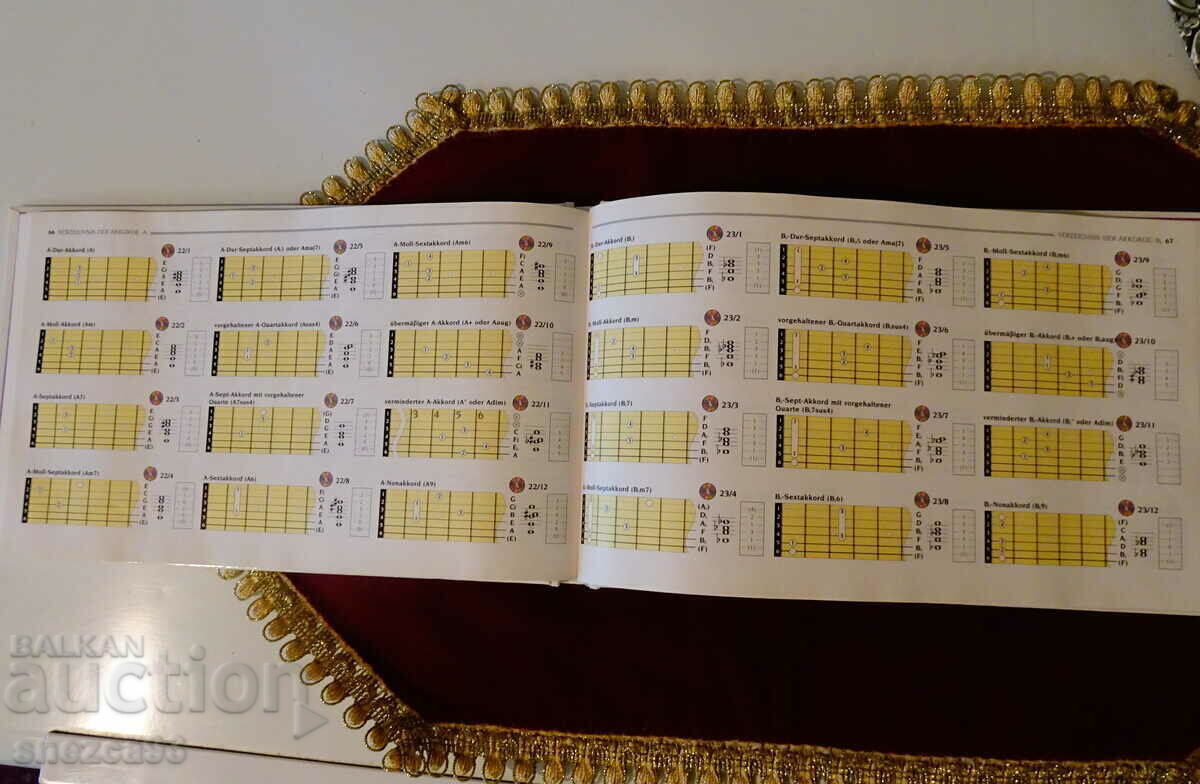 Auction  Guitar tutorial, chords, CD.