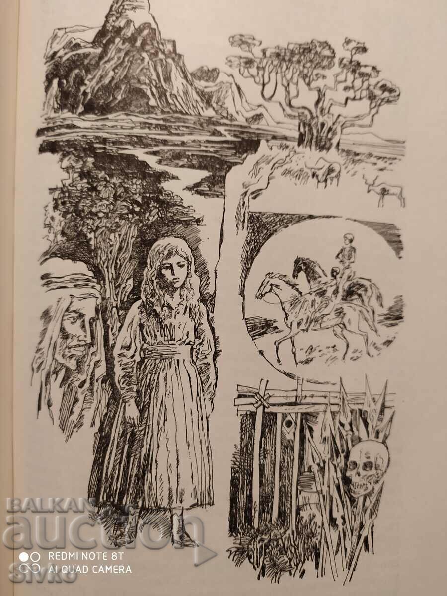 Stas and Nelly, Henrik Sienkiewicz, many illustrations - K - 6 Stas and Nelly, Henrik Sienkiewicz, many illustrations - K - 6