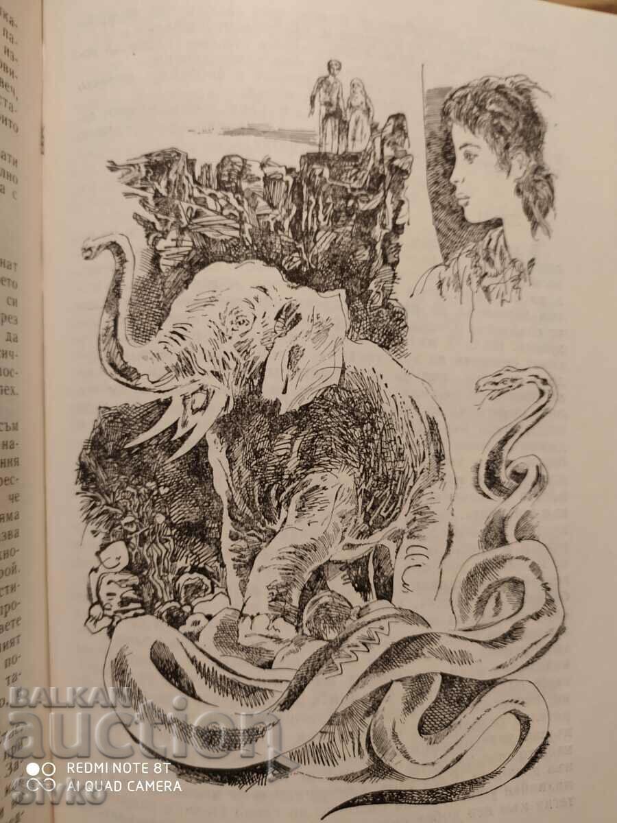 Stas and Nelly, Henrik Sienkiewicz, many illustrations - K - 7 Stas and Nelly, Henrik Sienkiewicz, many illustrations - K - 7