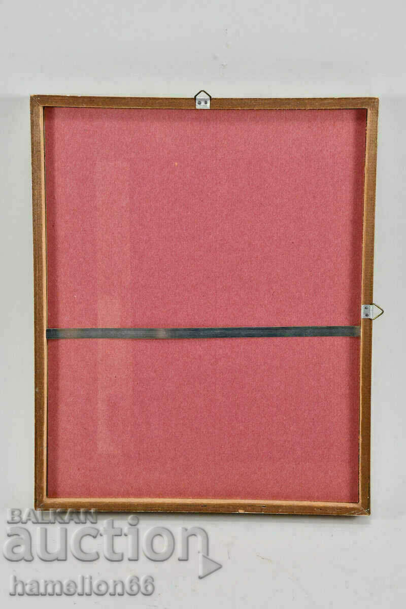 Delivery of Lithography, butterflies, hand-colored Delivery of Lithography, butterflies, hand-colored