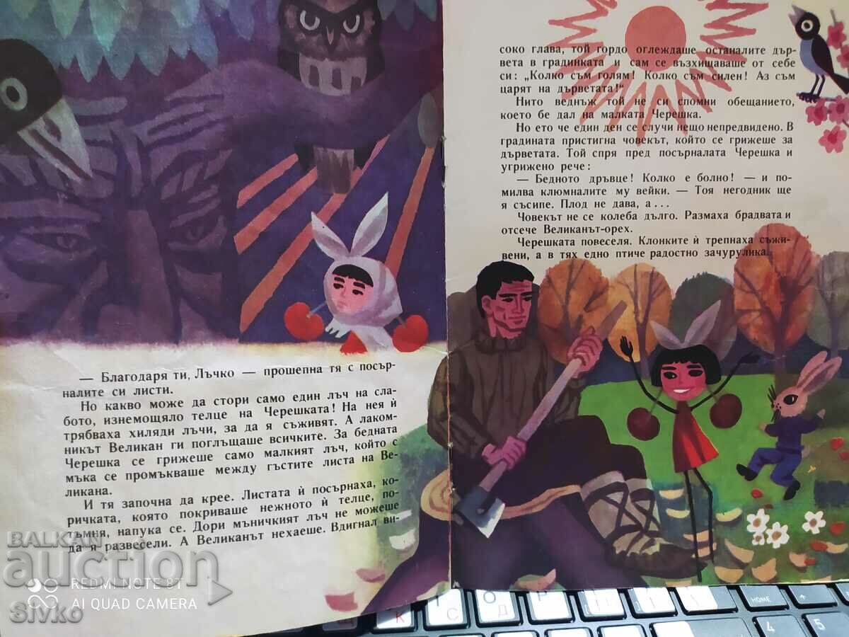 Delivery of The cherry and the giant, Stotinka, Blaga Arsova, many and - K