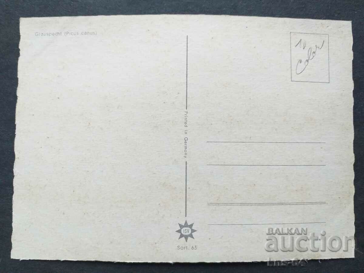 60's Birds with price € 0.46 | 0.90 BGN 60's Birds with price € 0.46 | 0.90 BGN