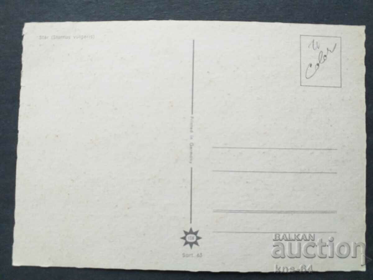 60's Birds with price € 0.46 | 0.90 BGN