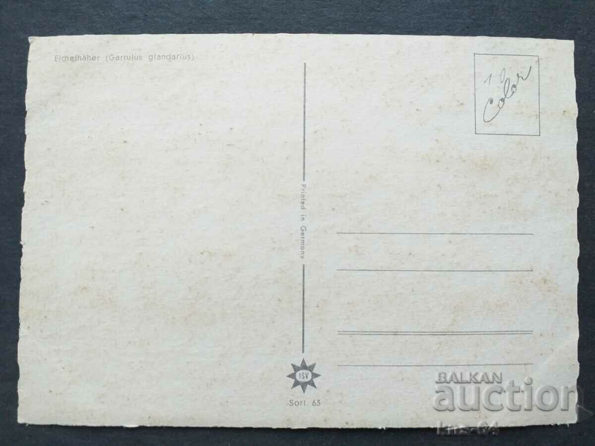 60's Birds with price € 0.46 | 0.90 BGN