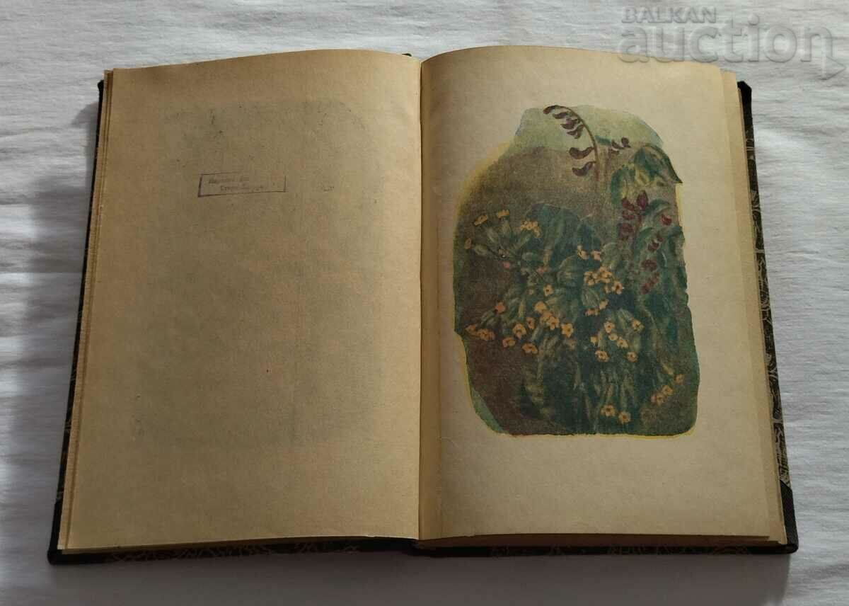 IN THE FOOTSTEPS OF ROBINSON N. VERZILLIN with price 25.00 BGN | € 12.78 IN THE FOOTSTEPS OF ROBINSON N. VERZILLIN with price 25.00 BGN | € 12.78