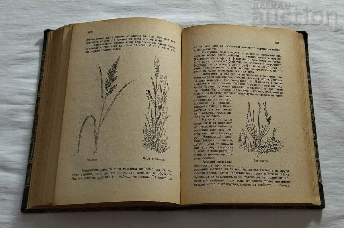 IN THE FOOTSTEPS OF ROBINSON N. VERZILLIN - 5 IN THE FOOTSTEPS OF ROBINSON N. VERZILLIN - 5